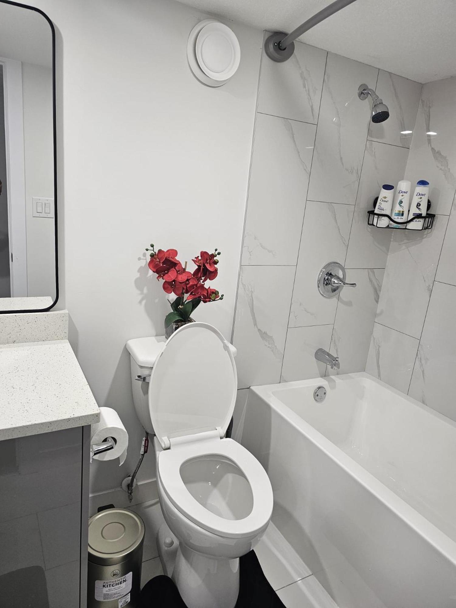 Contemporary Two Bedroom Basement Apartment