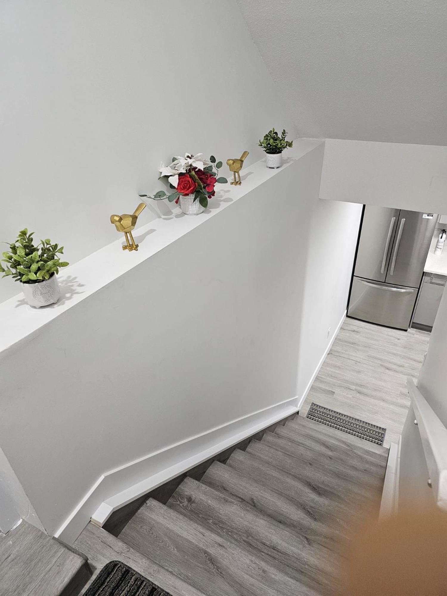 Contemporary Two Bedroom Basement Apartment