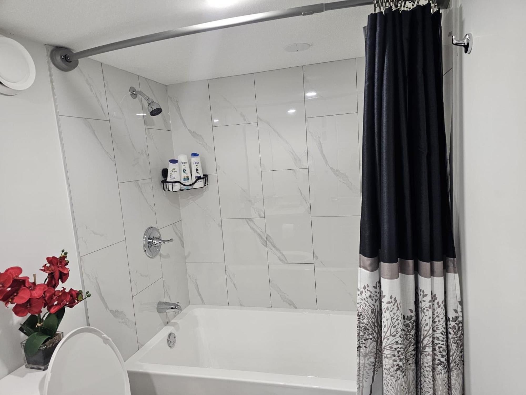 Apartment Contemporary Two Bedroom Basement Edmonton