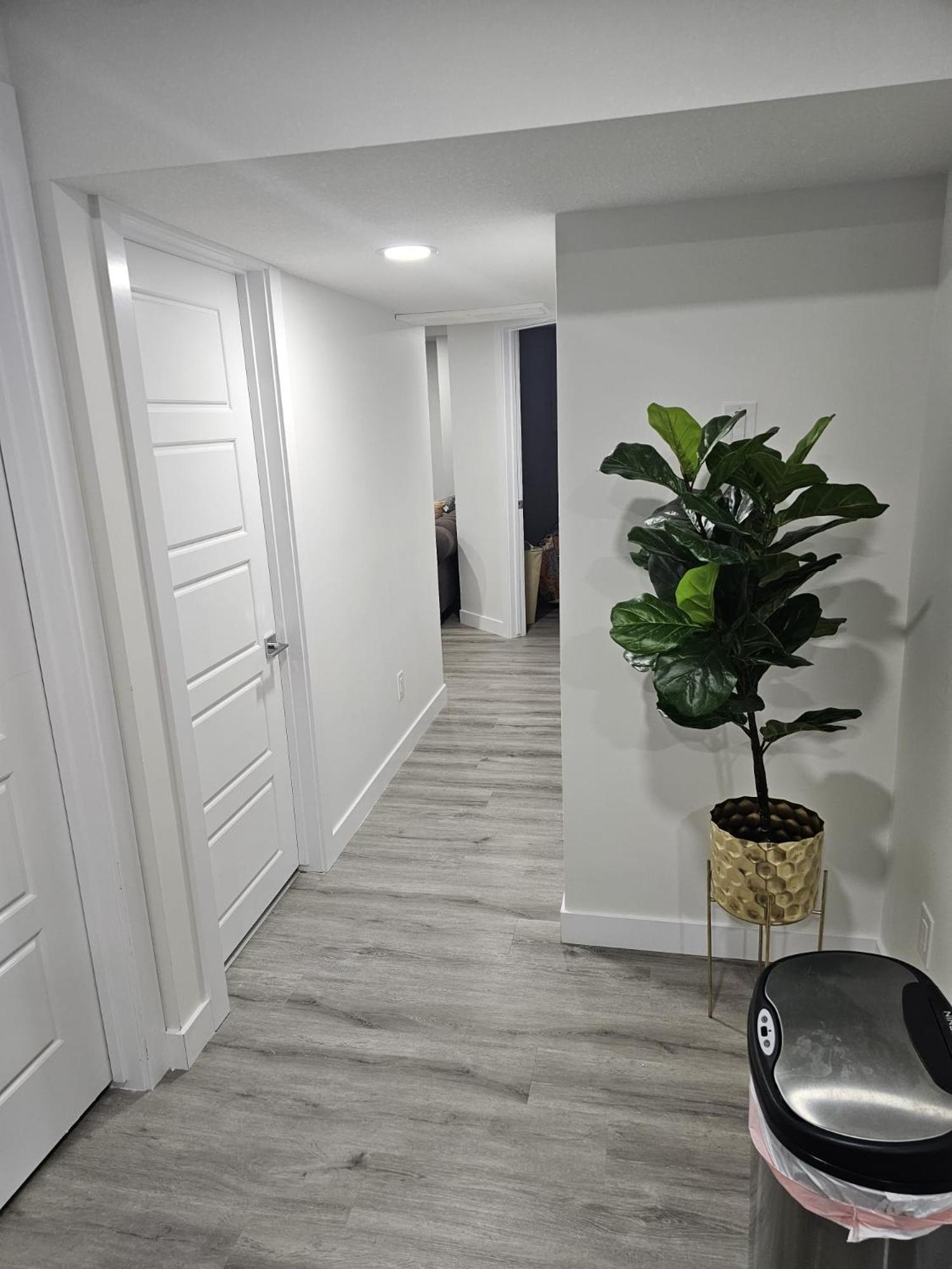 Contemporary Two Bedroom Basement