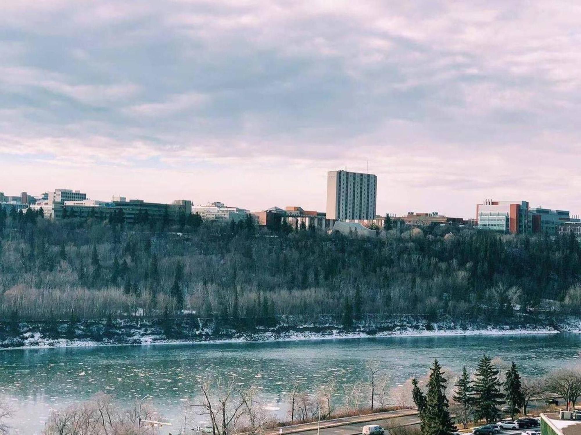 Dt 1 Bedroom 1bath Cozy 8 Min Walk To Arena Edmonton