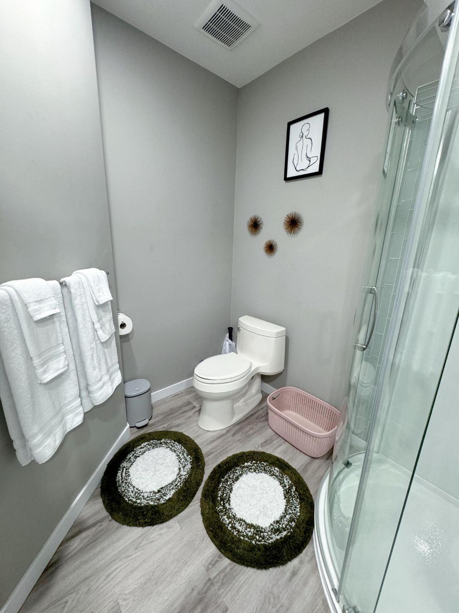 Apartment 2 Bedroom Basement Edmonton