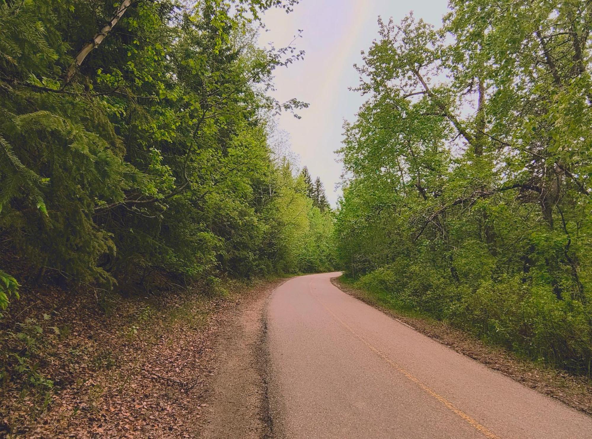 Homestay U Of A Homestay, Trails & Whyte Ave