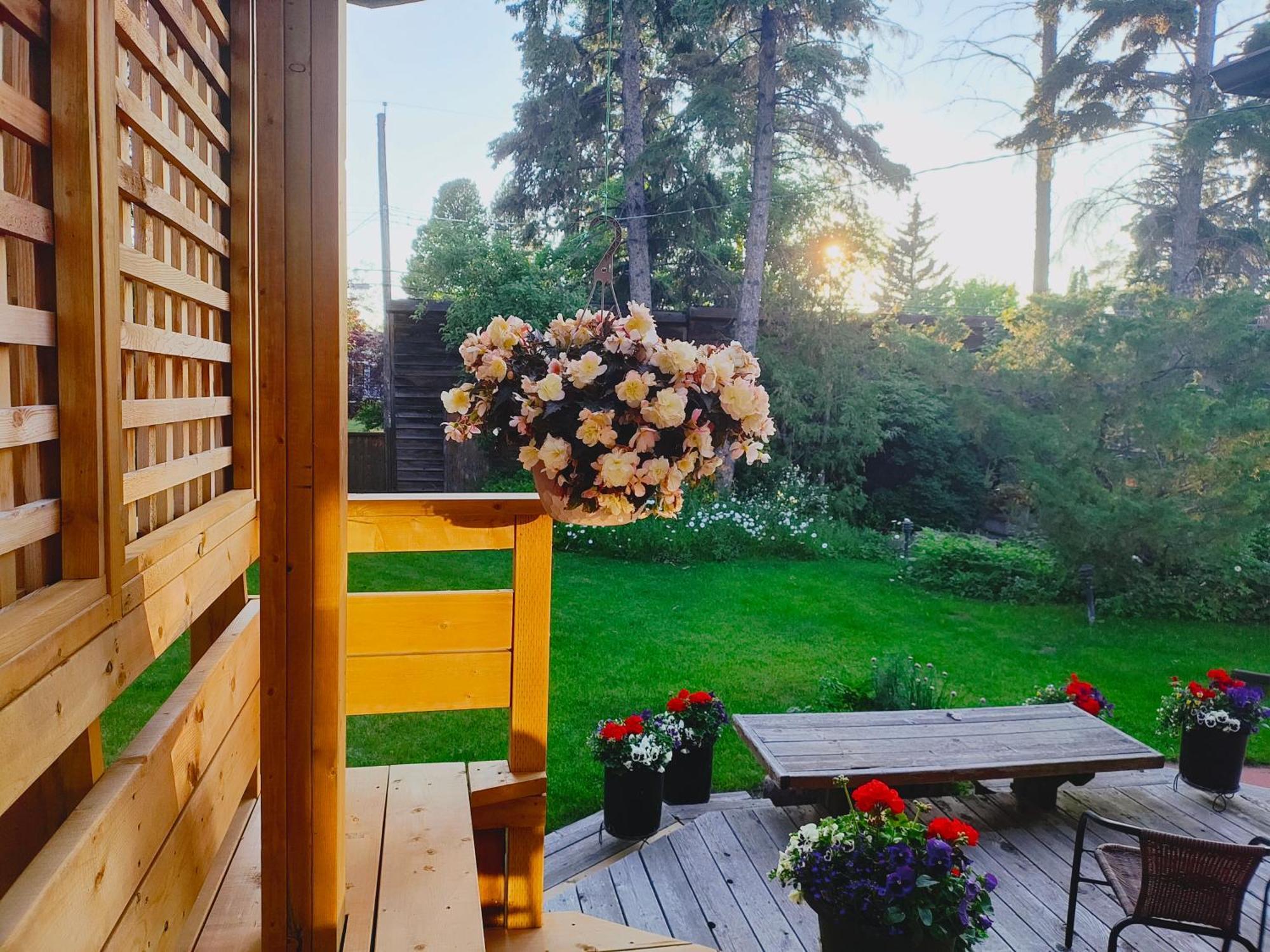 U Of A Homestay, Trails & Whyte Ave Edmonton