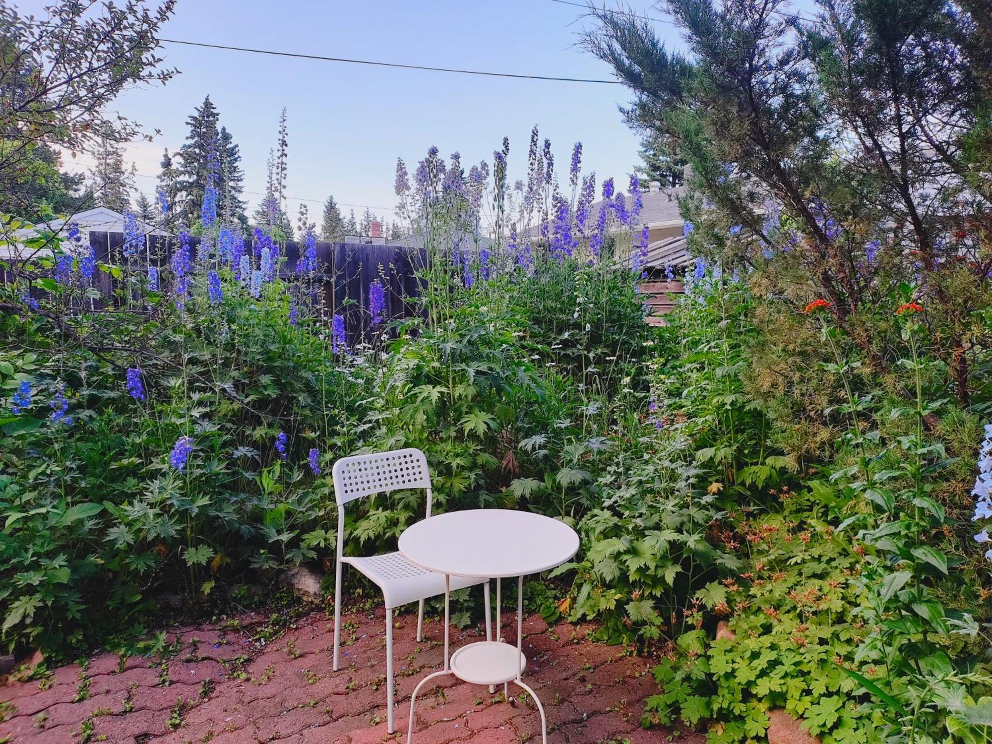 U Of A Homestay, Trails & Whyte Ave