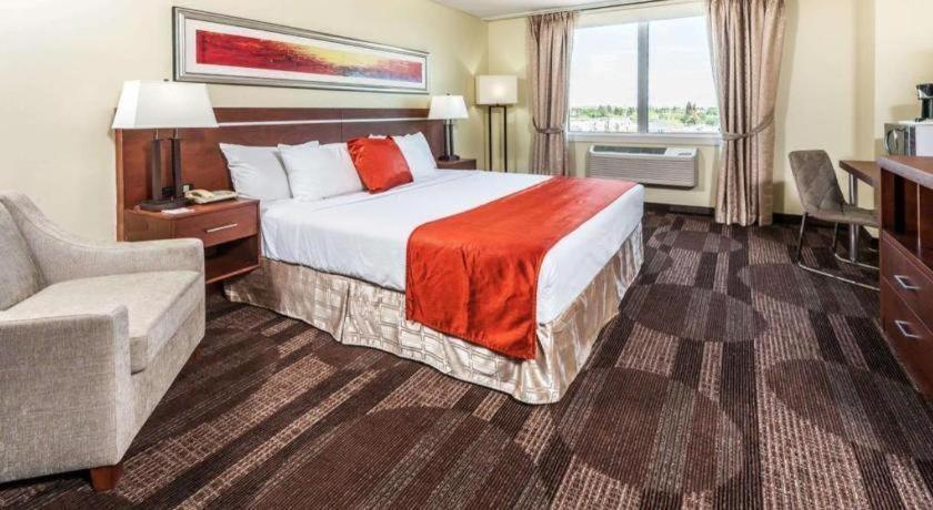 Hotel Bedfort & 3*