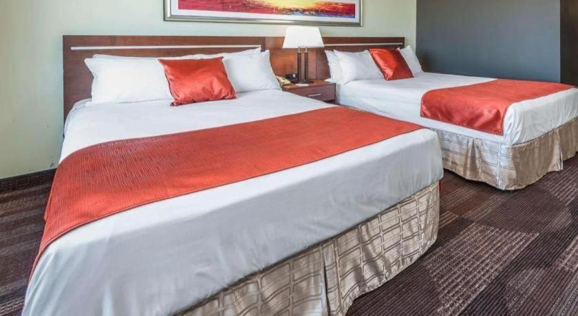 Bedfort & 3* Edmonton