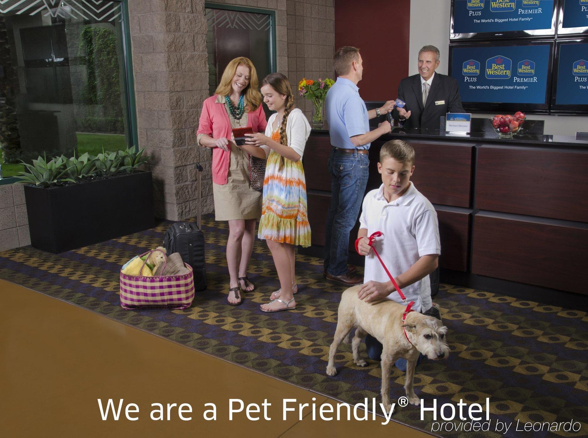 Hotel Best Western Plus City Centre 3*