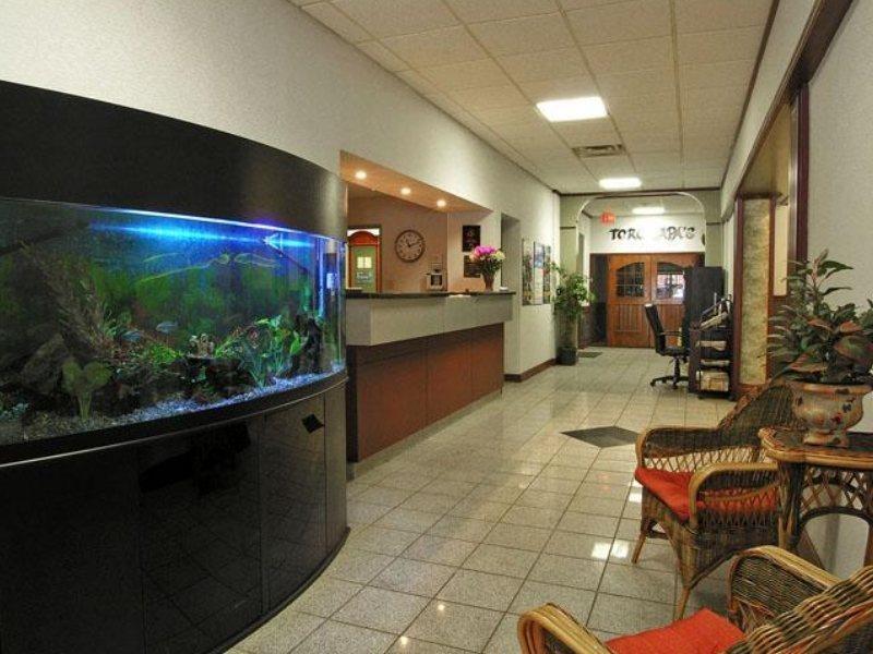 Hotel Comfort &