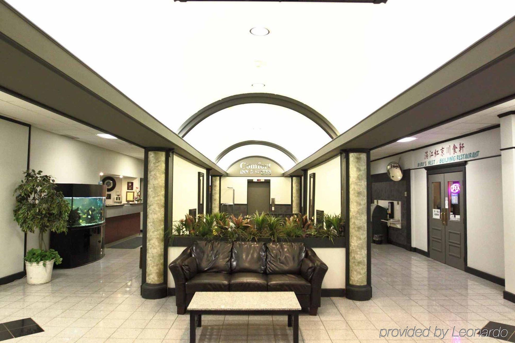 Hotel Comfort &
