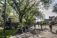 Hostel Of Alberta - *