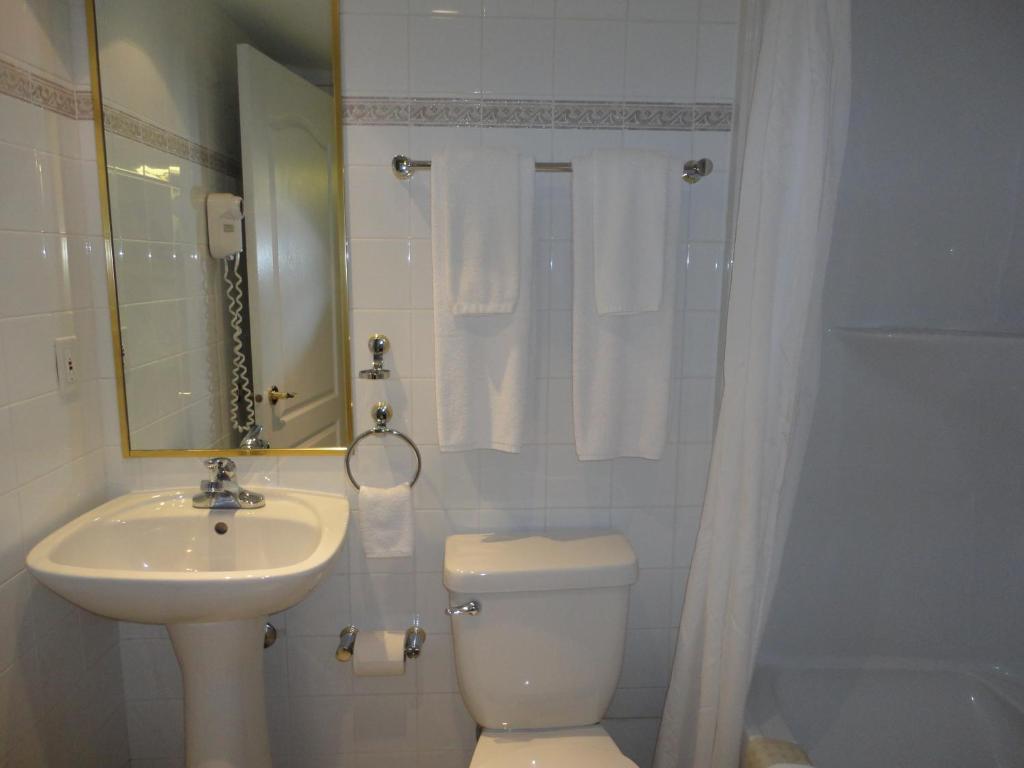 Hotel Chateau Louis & Conference Centre 3*