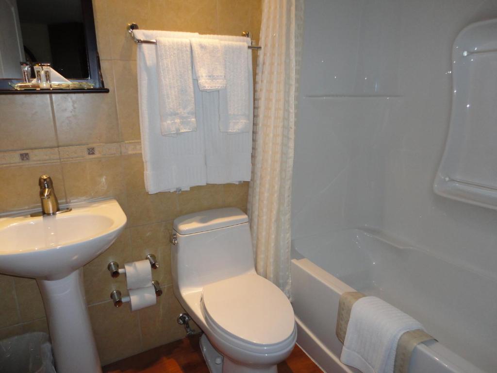 Chateau Louis & Conference Centre 3* Edmonton