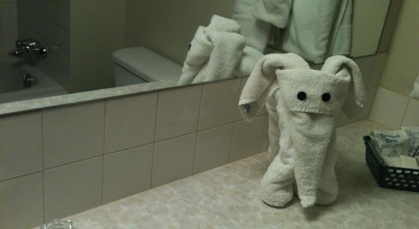Hotel Ramada By Wyndham Yellowhead Nw 2*