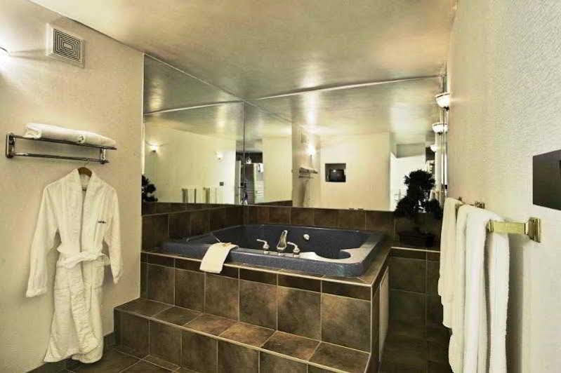 Comfort & 3* Edmonton
