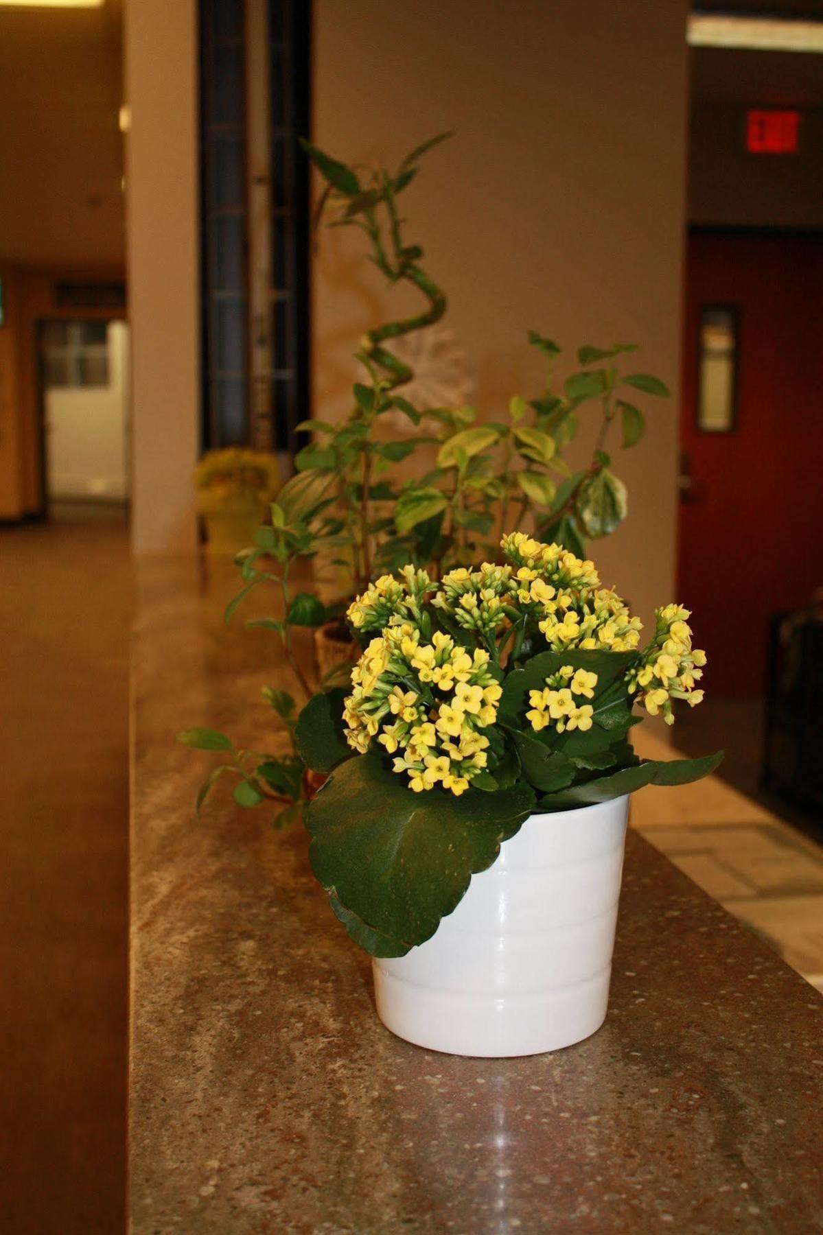 Hotel Of Alberta - Edmonton