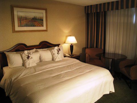 Holiday Edmonton-the Palace 3*