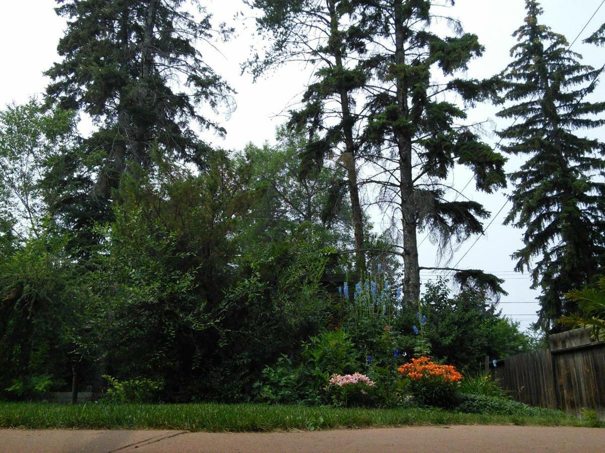 U Of A Homestay, Trails & Whyte Ave Homestay *
