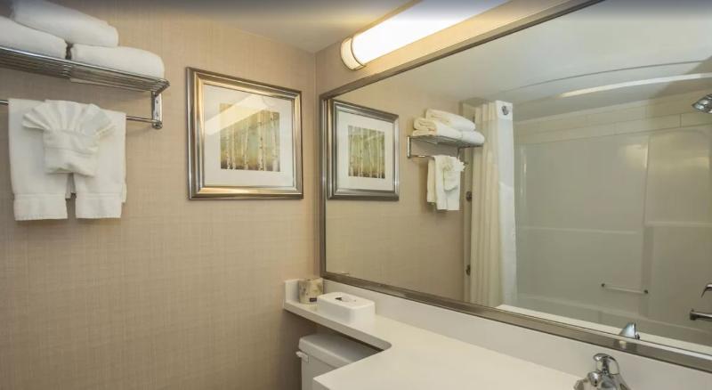 Hotel Conference Centre South By Ihg 3*
