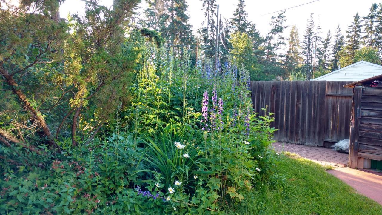 U Of A Homestay, Trails & Whyte Ave Edmonton
