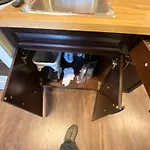 New Dt Apartment Walk To All