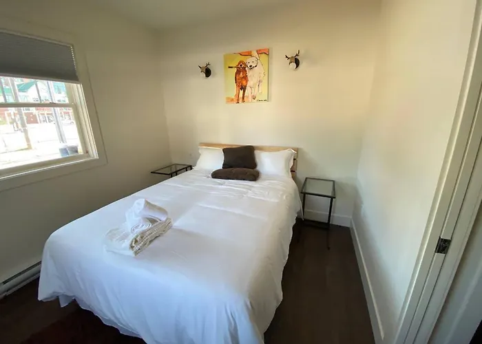 New Dt Apartment Walk To All