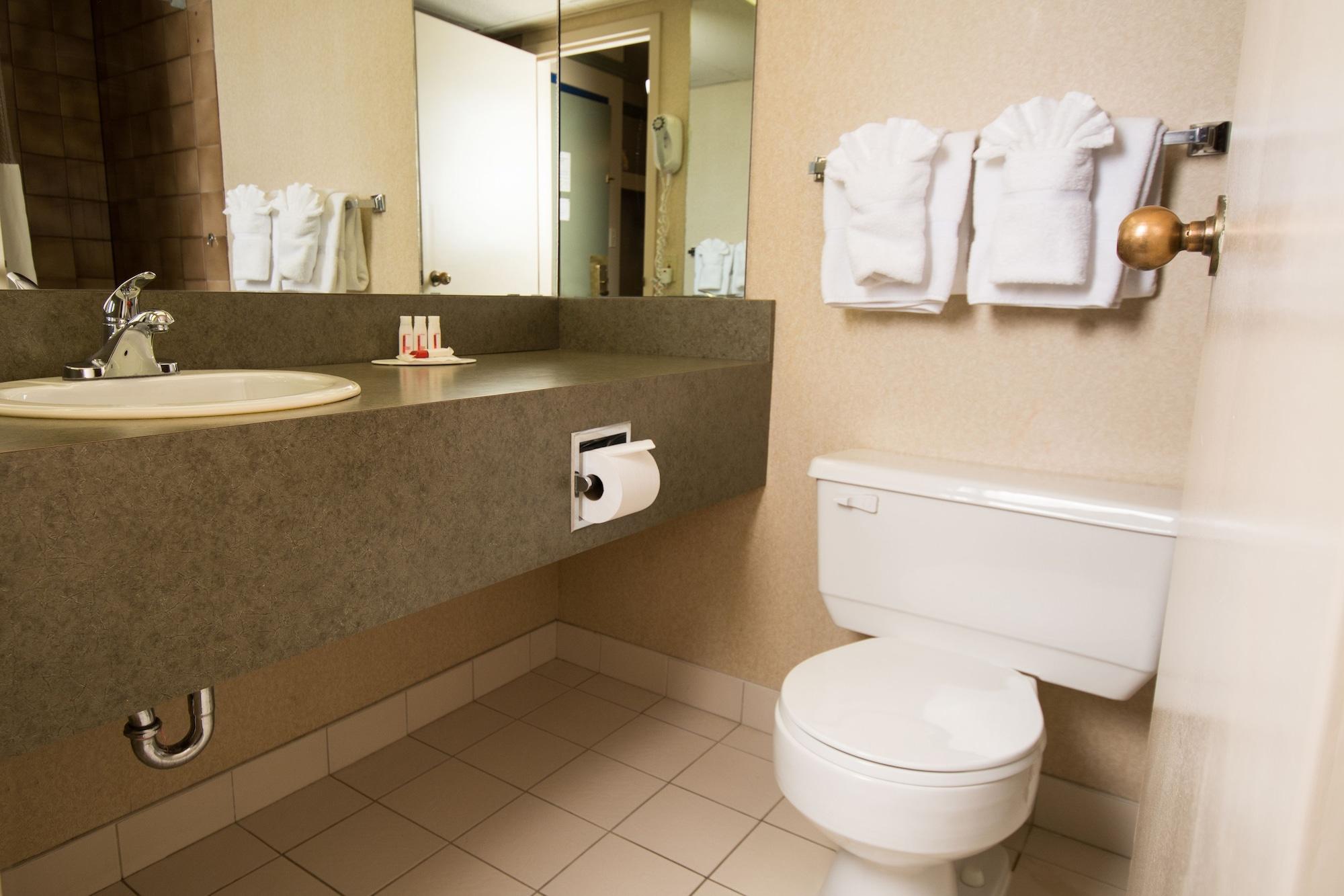 And Conference Centre 3* Edmonton