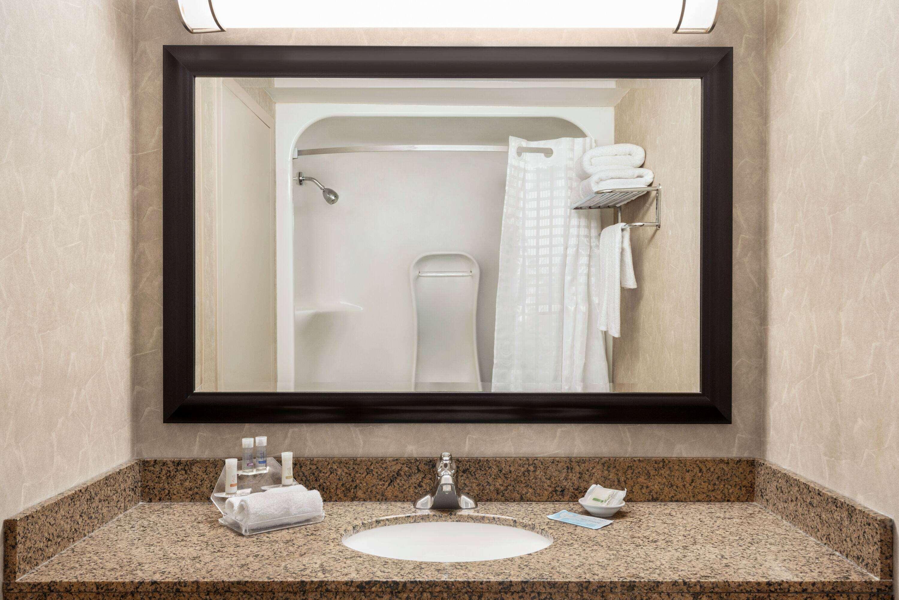 Royal West Edmonton, Trademark Collection By Wyndham Edmonton