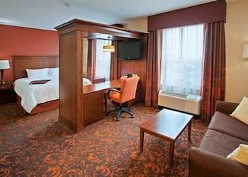 Hampton By Hilton South 3* Edmonton