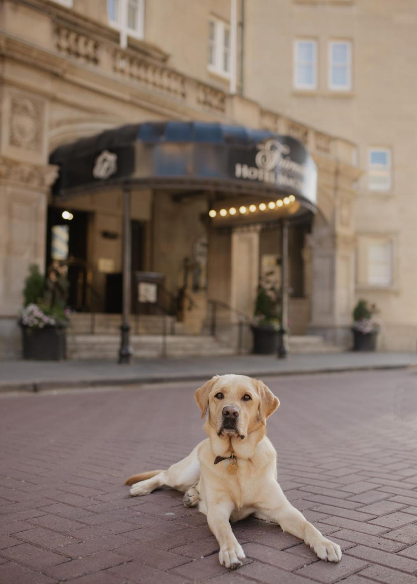 Fairmont Macdonald 4*