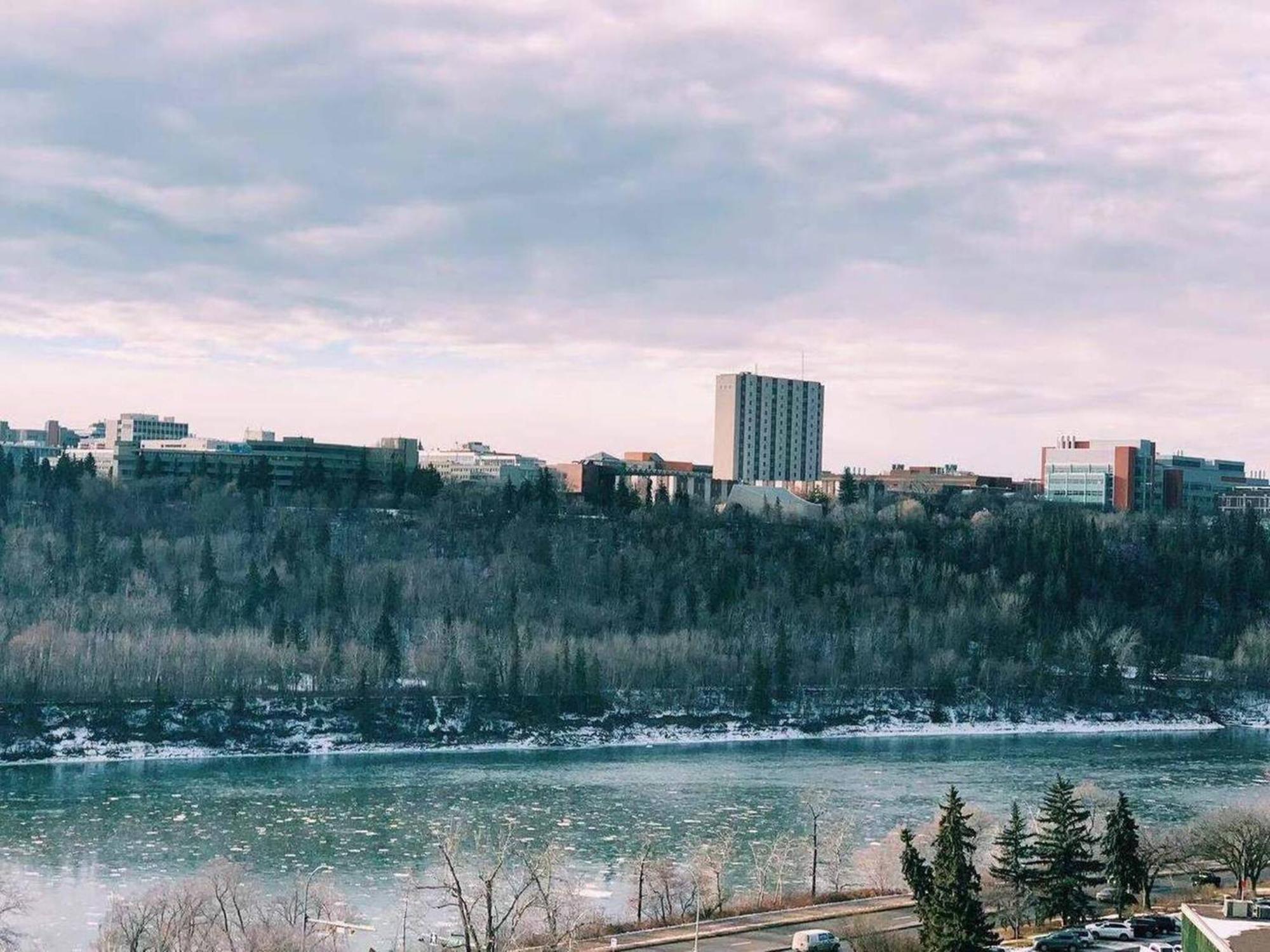 New Dt Walk To * Edmonton